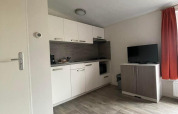 Stijlvol Comfort Lodge interieur met houten vloer, witte keuken, TV-meubel en rood gordijn. Honden welkom.