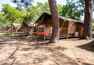 Safari tents with wooden decks and hammocks at Villatent Outback in Bi Village, Croatia, surrounded by trees.