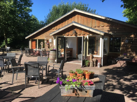 Buitenaanzicht van Camping de Zwammenberg met terrasstoelen, tafels en kleurrijke bloemen onder de zon.