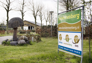 Eingang - Vodatent - Camping de Zwammenberg - De Moer - Nordbrabant - Niederlande