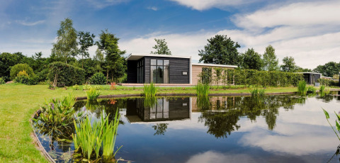 Moderne tiny house Forest lodge bij een vijver in Vakantiepark Hölte, Nederland, omringd door groen.