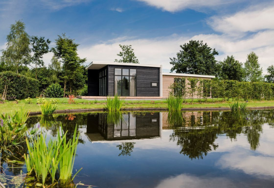 Moderne tiny house Forest lodge aan een vijver in Vakantiepark Hölte, Nederland, rustige omgeving.
