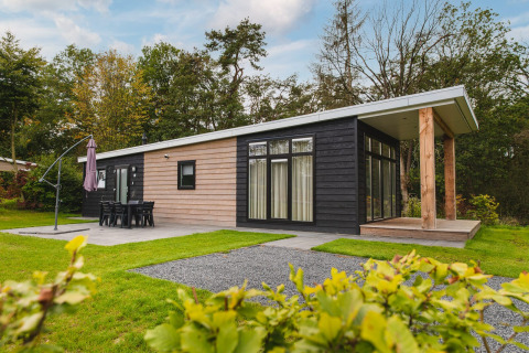 Lussuosa lodge moderna con sauna al Vakantiepark Hölte, Paesi Bassi, immersa nel verde e dotata di ampie vetrate.