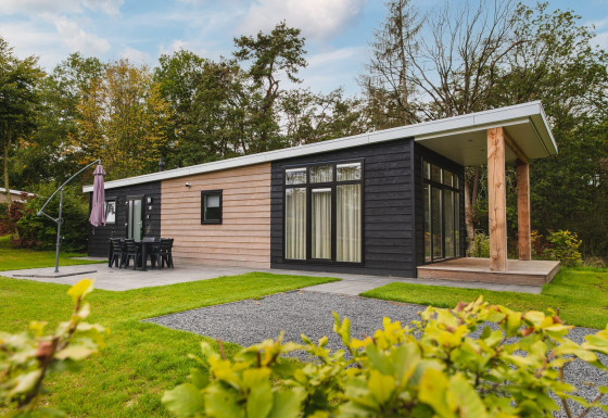 Lussuosa lodge moderna con sauna al Vakantiepark Hölte, Paesi Bassi, immersa nel verde e dotata di ampie vetrate.