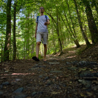 Wanderer geht durch den Wald