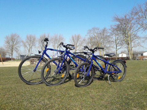 Drie blauwe fietsen op een grasveld bij Kompas Camping Westende in West-Vlaanderen, België.