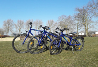 Drie blauwe fietsen op een grasveld bij Kompas Camping Westende in West-Vlaanderen, België.