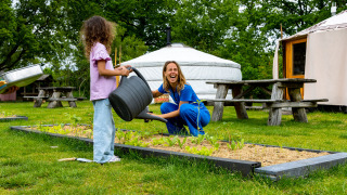 Menschen im Gemüsegarten - Sommerlicht - Balkbrug, Overijssel, Niederlande