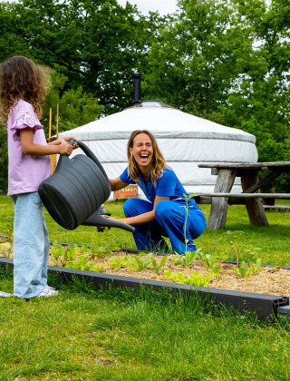 Menschen im Gemüsegarten - Sommerlicht - Balkbrug, Overijssel, Niederlande