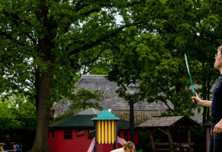 Vista general del campo - Luz de verano - Balkbrug, Overijssel, Países Bajos