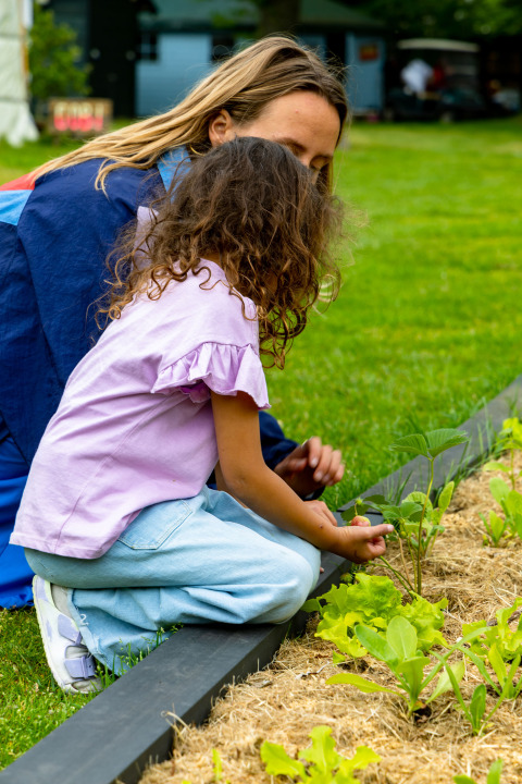 Gente en la huerta - Luz de verano - Balkbrug, Overijssel, Países Bajos