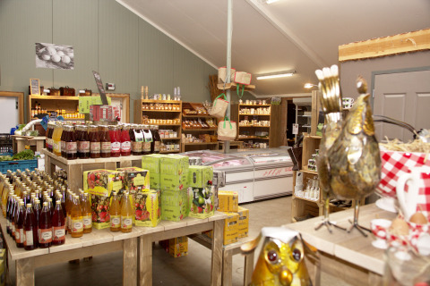 Negozio di campagna - Vodatent - Fattoria di bufali d'acqua - Oldemarkt - Overijssel - Paesi Bassi(2)