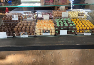 Landwinkel - Vodatent - Waterbuffelfarm  - Oldemarkt - Overijssel - Nederland(1)