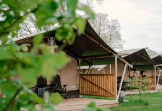 Safaritent met sanitaire voorzieningen op Camping de Haer in Nederland, in een groene omgeving.