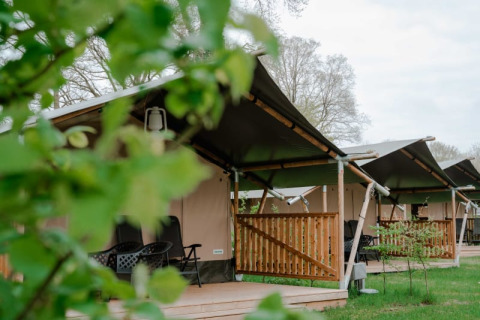 Safari tent with private sanitary facilities at Camping de Haer, Netherlands, set among greenery and trees.