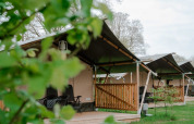 Tienda safari con baño privado en Camping de Haer, Países Bajos, rodeada de naturaleza y verdor.