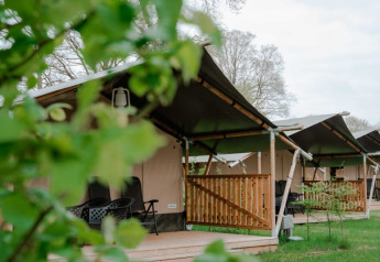 Tienda safari con baño privado en Camping de Haer, Países Bajos, rodeada de naturaleza y verdor.