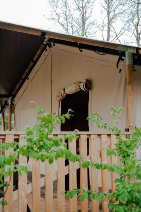 Safari tent with wooden veranda and private facilities at Camping de Haer in the Netherlands, leafy view.