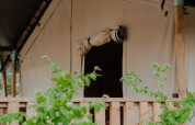 Tienda safari con terraza de madera y sanitarios privados en Camping de Haer, Países Bajos, rodeado de hojas.