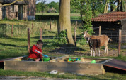 Zandbak - Vodatent - Vakantiepark de Toffe Peer - Ruinerwold - Drenthe - Nederland