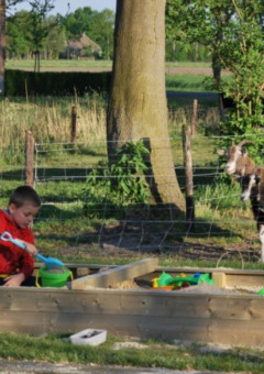 Sandbox - Vodatent - Vakantiepark de Toffe Peer - Ruinerwold - Drenthe - Netherlands