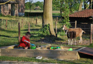 Sandkasse - Vodatent - Vakantiepark de Toffe Peer - Ruinerwold - Drenthe - Holland