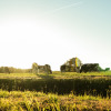 View on meadow - Vodatent - Vakantiepark de Toffe Peer - Ruinerwold - Drenthe - Netherlands