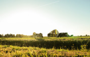 Uitzicht op weide - Vodatent - Vakantiepark de Toffe Peer - Ruinerwold - Drenthe - Nederland
