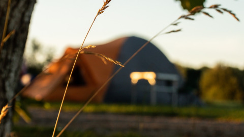 Tienda al atardecer - Vodatent - Vakantiepark de Toffe Peer - Ruinerwold - Drenthe - Países Bajos
