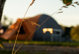 Telt ved solnedgang - Vodatent - Vakantiepark de Toffe Peer - Ruinerwold - Drenthe - Holland