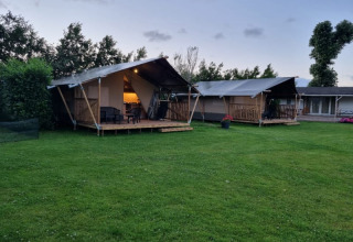 To safaritelt med veranda på Camping de Tulpenweide i Holland, omgivet af grønt græs og træer.