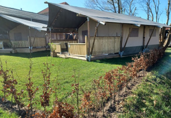 Safaritent bij Camping de Noorde in Nederland met groene grasmat en kleine struiken op de voorgrond.