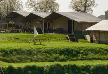 Safari-Zelte bei Camping de Boomgaard in Belgien mit grüner Umgebung und Picknicktisch im Vordergrund.