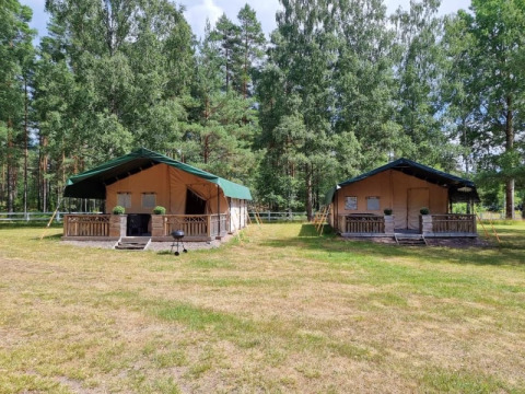 Twee ruime safaritenten met veranda op grasveld, omringd door hoge bomen, midden in de natuur.