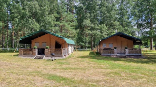 To store safari telte med veranda og grønne tage står på en åben græsmark omgivet af høje træer.