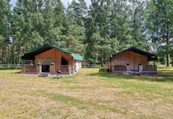 To store safari telte med veranda og grønne tage står på en åben græsmark omgivet af høje træer.