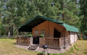 Safari-telt med sanitære faciliteter midt i en grøn skov, med veranda og grill på græsplænen.