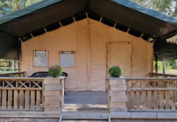Tienda safari con terraza y escalera de madera, situada entre árboles, ideal para glamping en la naturaleza.