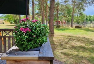 Zicht vanaf een safaritentterras met bloempot, bomen en tuin op een rustige camping.