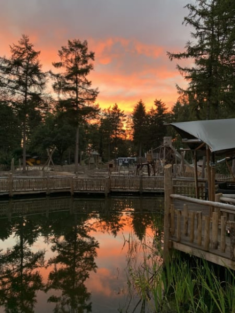 Atardecer reflejado en el lago, árboles y pasarelas de madera en la Safari tent Zeelt, Camping het Horstmannsbos, Países Bajos.