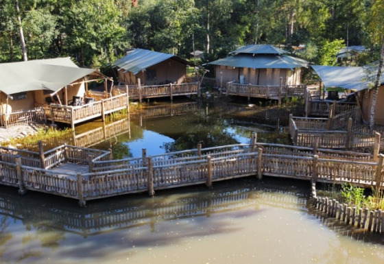 Safari tents by a pond with wooden walkways, surrounded by forest, perfect for a unique glamping stay.