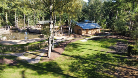 Safari tent area with grassy lawns, trees, a pond, and a wooden building in the background on a sunny day.