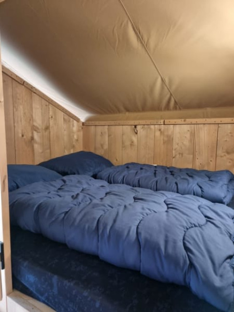 Vista interna di un letto accogliente con biancheria blu in una tenda safari al Camping het Horstmannsbos, Paesi Bassi.