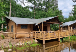 Safarizelt mit Holzterrasse am Wasser, umgeben von Bäumen, bei Camping het Horstmannsbos in den Niederlanden.