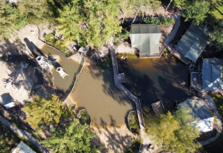 Vista aérea de una tienda Safari con instalaciones sanitarias en Camping het Horstmannsbos, rodeada de naturaleza.