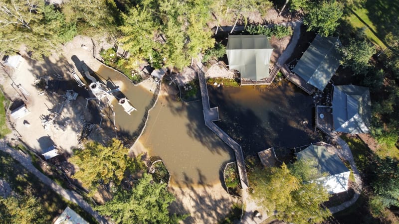 Vista aérea de una tienda Safari con instalaciones sanitarias en Camping het Horstmannsbos, rodeada de naturaleza.