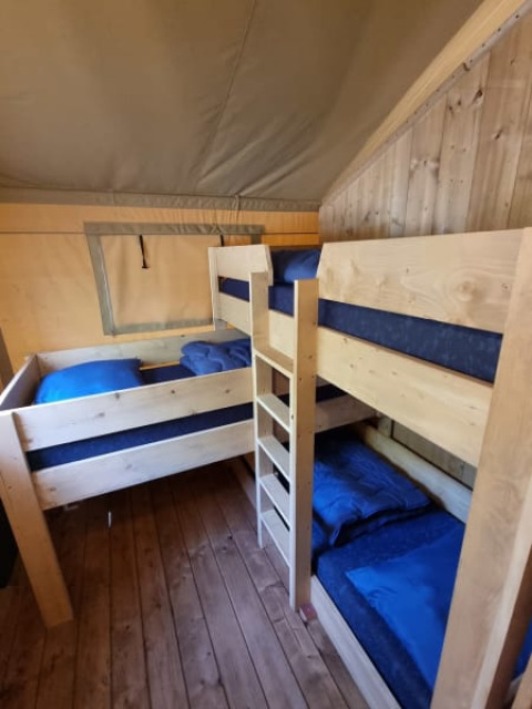 Vista interior de una tienda safari con literas de madera y ropa de cama azul en Camping het Horstmannsbos.