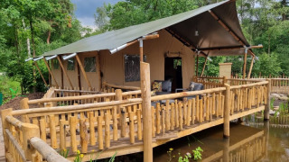 Safari tent called Safari tent + sanitary - Baars, with a spacious wooden deck over water in a green forest.
