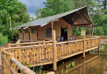 Safari tent called Safari tent + sanitary - Baars, with a spacious wooden deck over water in a green forest.