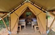 The inside of a safari tent with two beds and wooden furniture at Camping het Horstmannsbos in the Netherlands.